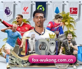 每个板块围绕一个运动项目展开 - 多运动项目内容板块(wukongsports)