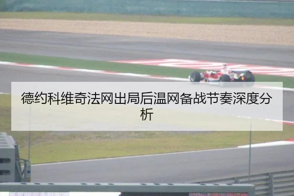 de-yue-ke-wei-qi-fa-wang-chu-ju-hou-wen-wang-bei-zhan-jie-zou-shen-du-fen-xi-2-246.jpg