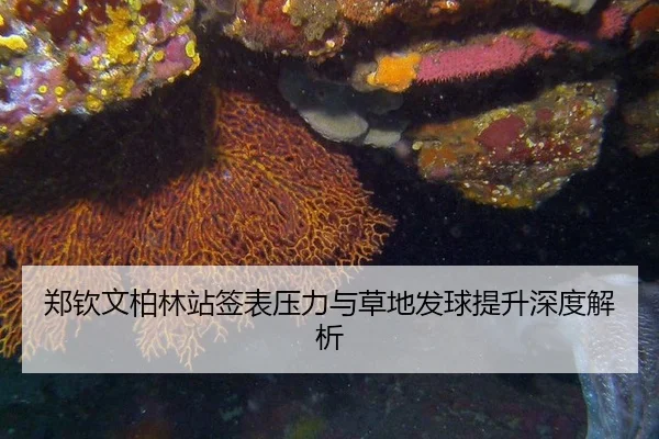 郑钦文柏林站签表压力与草地发球提升深度解析（wukongsports）